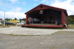 Actividad Costumbrista Liceo 2016 (14)