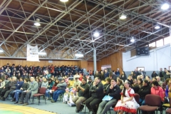 Acto 18 Septiembre 2017 (20) (Copy)