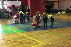 Acto 18 Septiembre 2017 (37) (Copy)