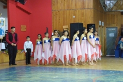 Acto 18 Septiembre 2017 (41) (Copy)