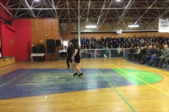 Acto 18 Septiembre 2017 (67) (Copy)