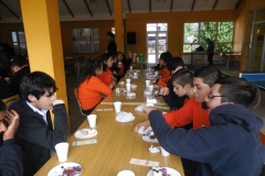 Bienvenida 2017 (18)