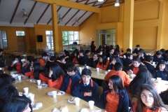 Bienvenida 2017 (26)