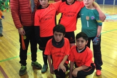 Baby Prov LABO 2017 (22)