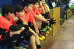 Baby Prov LABO 2017 (29)