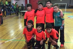 Baby Prov LABO 2017 (37)