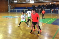 Baby Prov LABO 2017 (4)