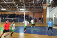 Baby Prov LABO 2017 (5)