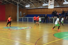 Baby Prov LABO 2017 (6)