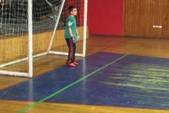 Baby Prov LABO 2017 (7)