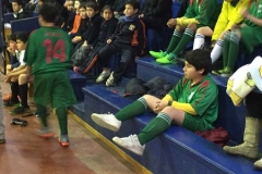 Baby Prov LABO 2017 (8)