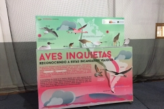 Chiloe Eco- Sistemico (1)