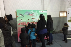 Chiloe Eco- Sistemico (13)