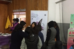 Chiloe Eco- Sistemico (14)