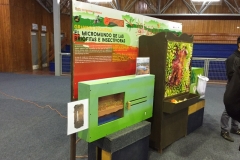 Chiloe Eco- Sistemico (16)