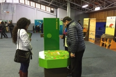 Chiloe Eco- Sistemico (17)