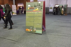 Chiloe Eco- Sistemico (18)