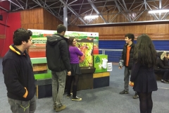 Chiloe Eco- Sistemico (19)