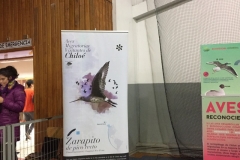 Chiloe Eco- Sistemico (2)