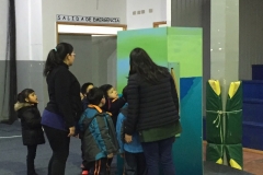 Chiloe Eco- Sistemico (22)