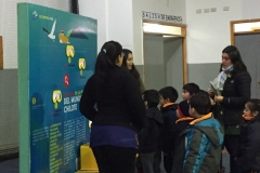 Chiloe Eco- Sistemico (23)