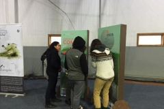 Chiloe Eco- Sistemico (24)