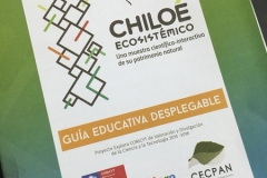 Chiloe Eco- Sistemico (25)