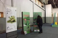 Chiloe Eco- Sistemico (3)