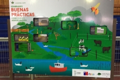 Chiloe Eco- Sistemico (5)