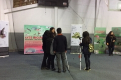 Chiloe Eco- Sistemico (6)