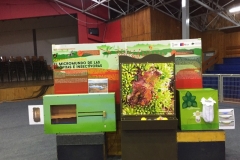 Chiloe Eco- Sistemico (7)