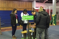 Chiloe Eco- Sistemico (8)