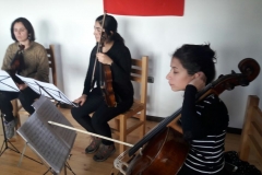 Concierto de Gala (3)