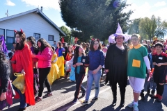 Día Educación Especial 2017 (12)