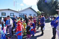 Día Educación Especial 2017 (16)