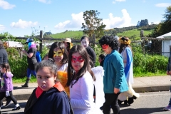 Día Educación Especial 2017 (29)