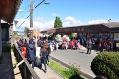 Día Educación Especial 2017 (36)