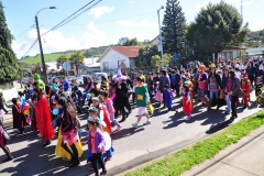 Día Educación Especial 2017 (38)