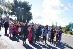 Día Educación Especial 2017 (6)