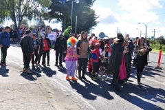 Día Educación Especial 2017 (7)