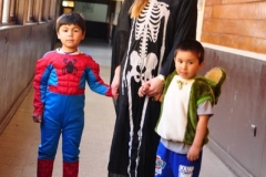 Día Educación Especial 2017 (72)