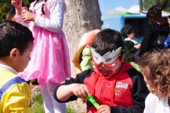 Día Educación Especial 2017 (73)