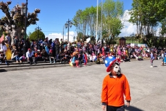 Día Educación Especial 2017 (79)