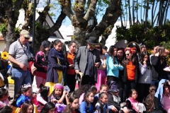 Día Educación Especial 2017 (85)