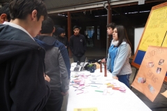 Día de la Juventud (1)