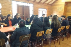 Convivencia Escolar (4)