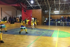 VI Muestra Danza (100) (Copy)