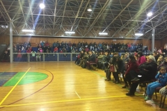 VI Muestra Danza (13) (Copy)