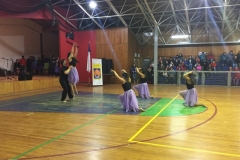 VI Muestra Danza (19) (Copy)