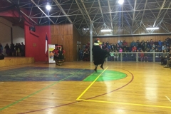 VI Muestra Danza (22) (Copy)